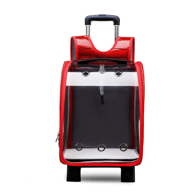 Blue transparent pet trolley with folding cover next to its detachable Oxford cloth shoulder bag.