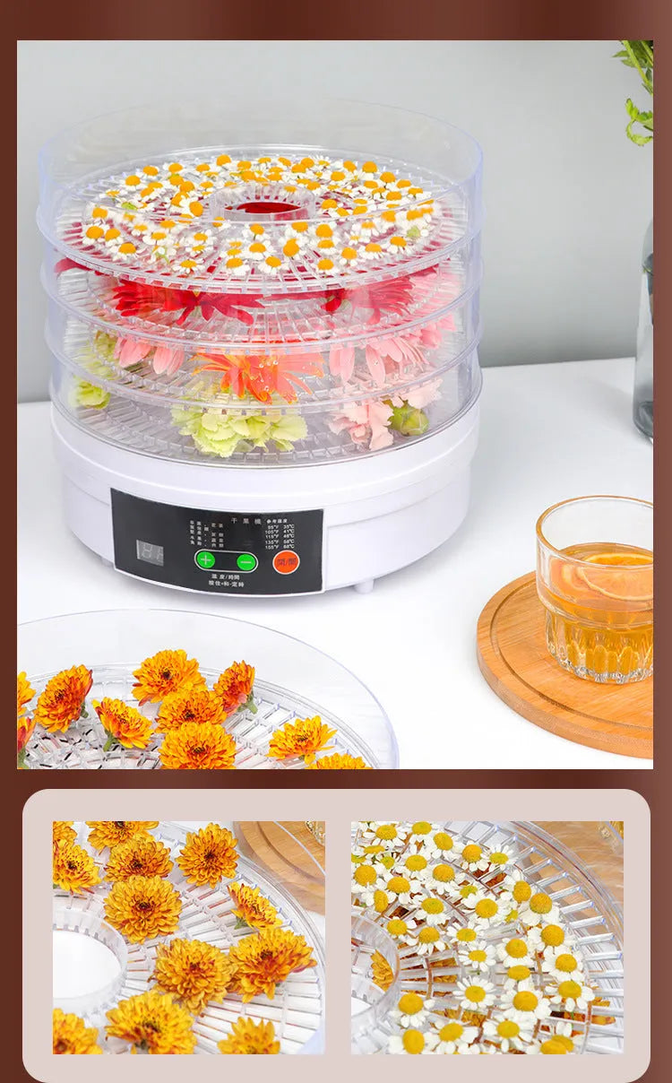 Household fruit dehydrator food dryer with multiple shelf layers and UK plug