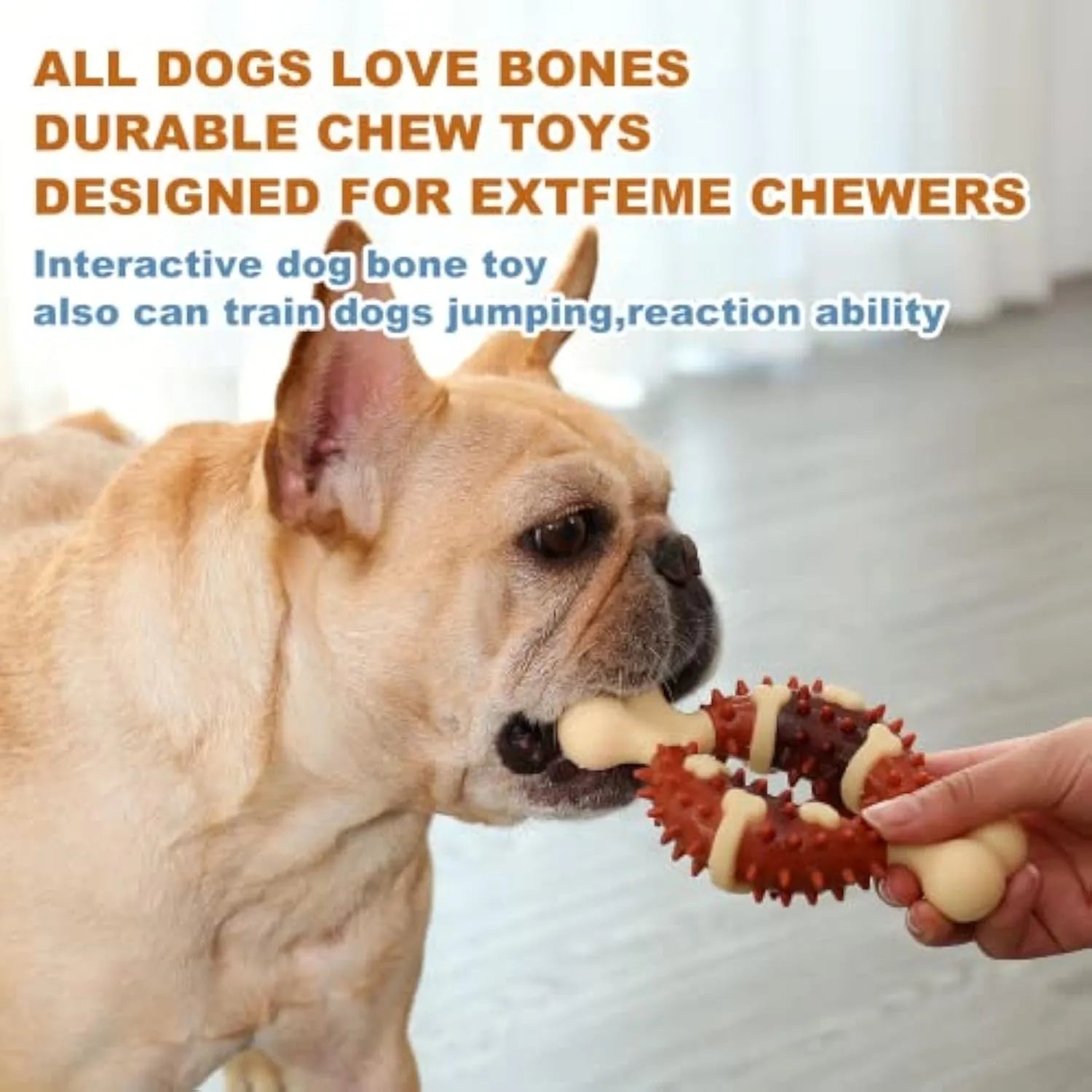 Bone-shaped natural rubber dog molar chew toy shown in two different sizes for teeth grinding.
