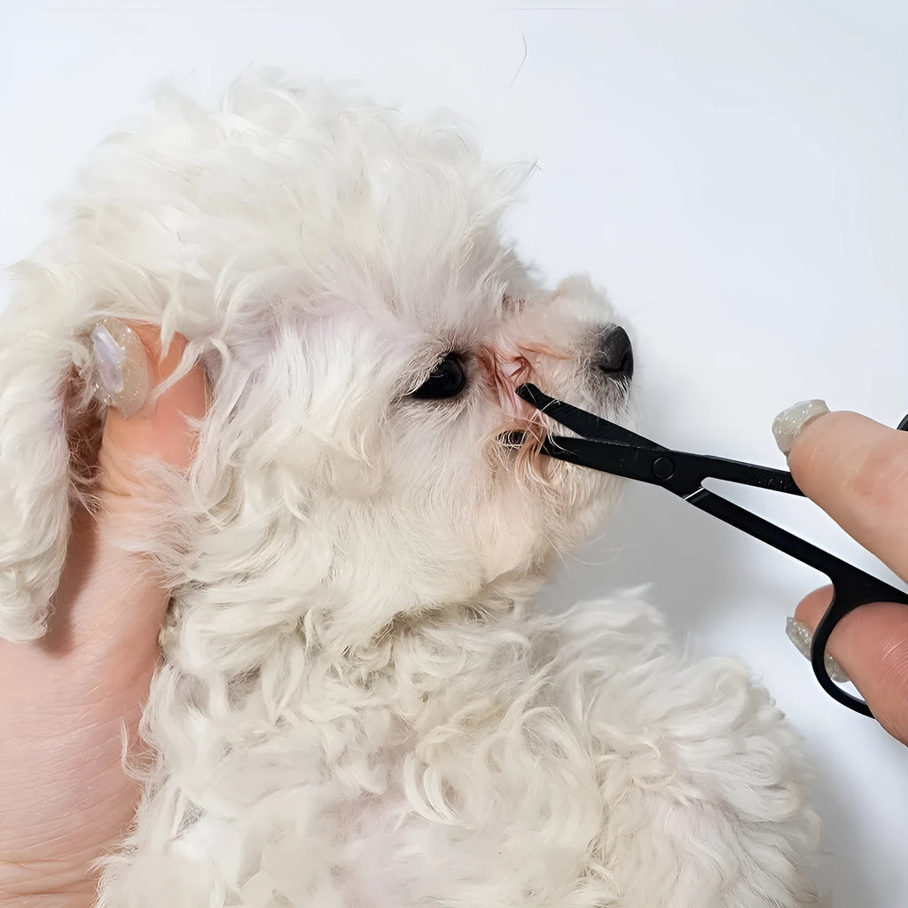 Pet grooming brush with soft bristles and comb for dogs and cats tear stain removal