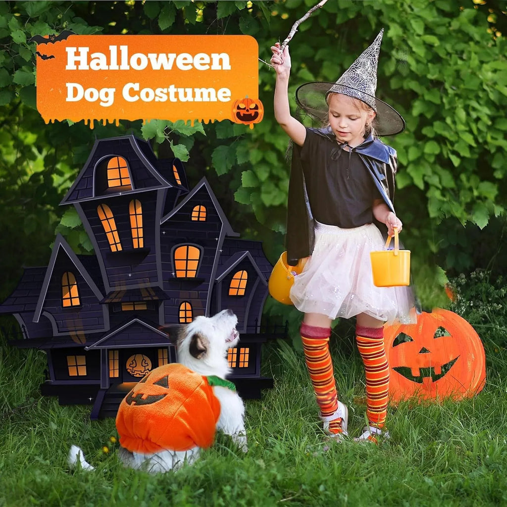 Orange plush pumpkin-shaped Halloween costume for a small dog, showing pullover design and soft texture.