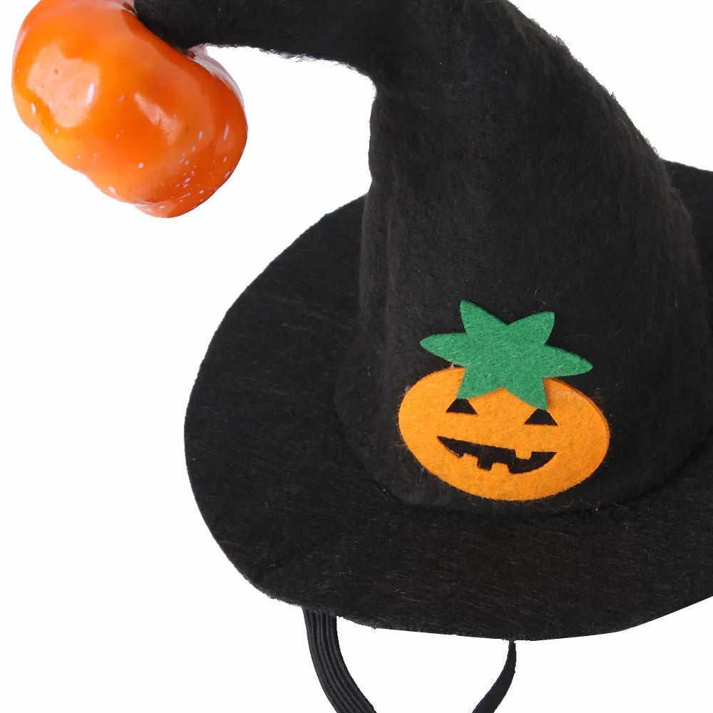 Embroidered cloth pet Halloween hat showing pumpkin design on cat