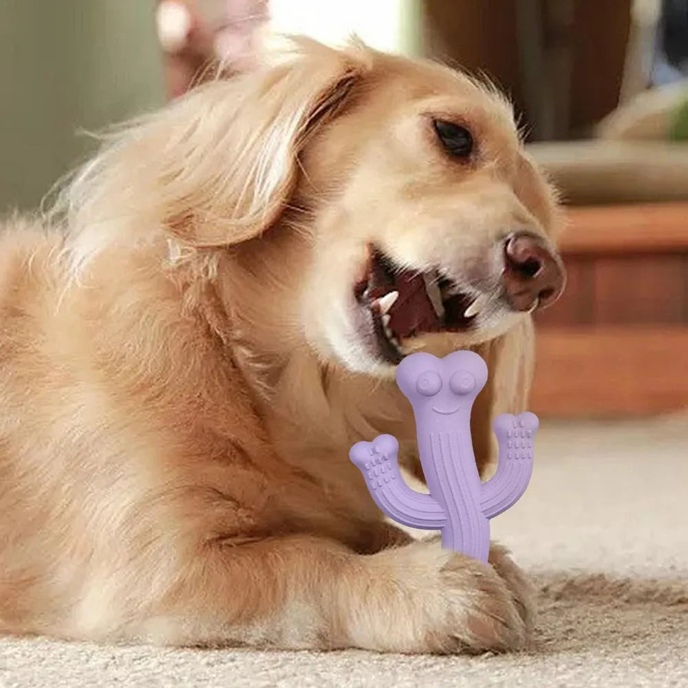 Cactus-shaped dog chew toy in beige, blue, or purple, made from bamboo fibre and rubber.