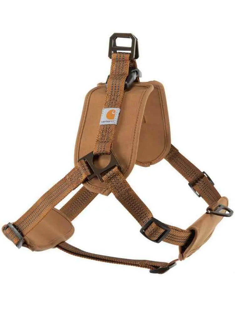 Dog wearing a chest strap harness connected to a reflective hand holding rope