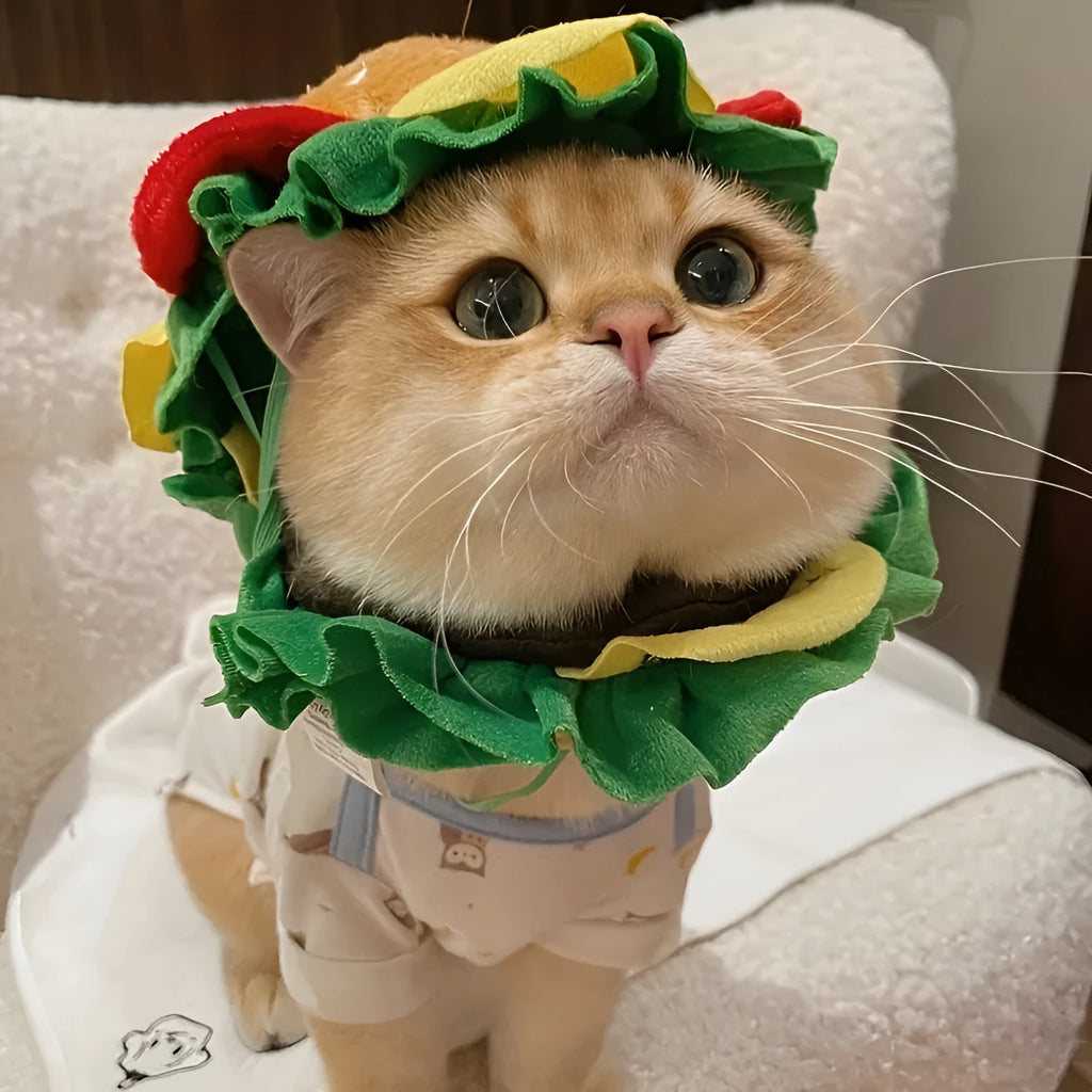Cat wearing burger-shaped fabric headdress collar with adjustable fastening