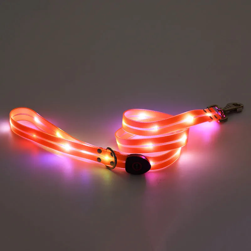 LED luminous pet collar and nylon tow rope with colourful light strips, rechargeable via USB, in black colour option