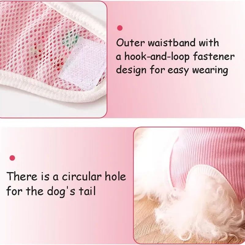 Reusable washable dog physiological pants in blue with cartoon print on a white background