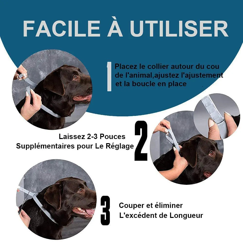 Rainbow plastic flea collar for cats and dogs, showing 38cm and 62cm sizes.