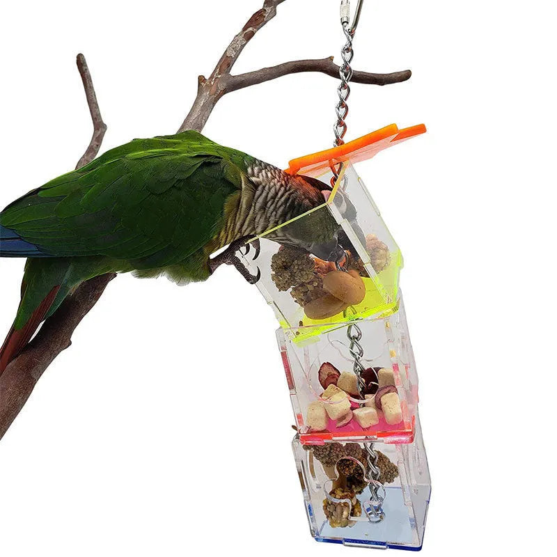 Clear acrylic parrot foraging toy for holding fruits and nuts, measuring 32 cm long.