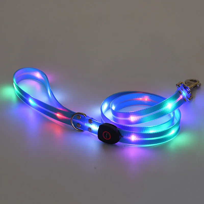 LED luminous pet collar and nylon tow rope with colourful light strips, rechargeable via USB, in black colour option