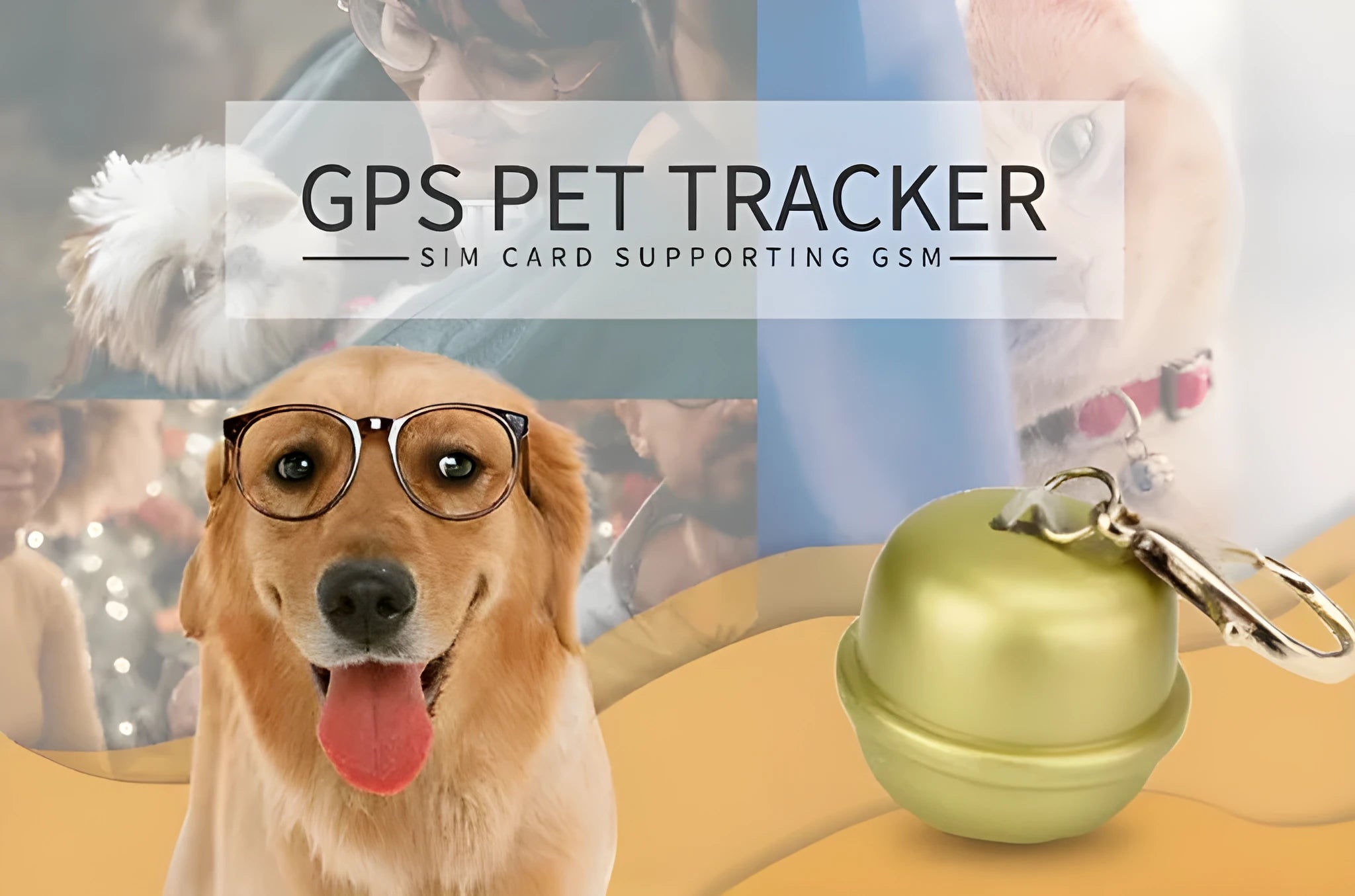 A GPS tracking unit attached to an adjustable dog collar, shown in multiple colour options.