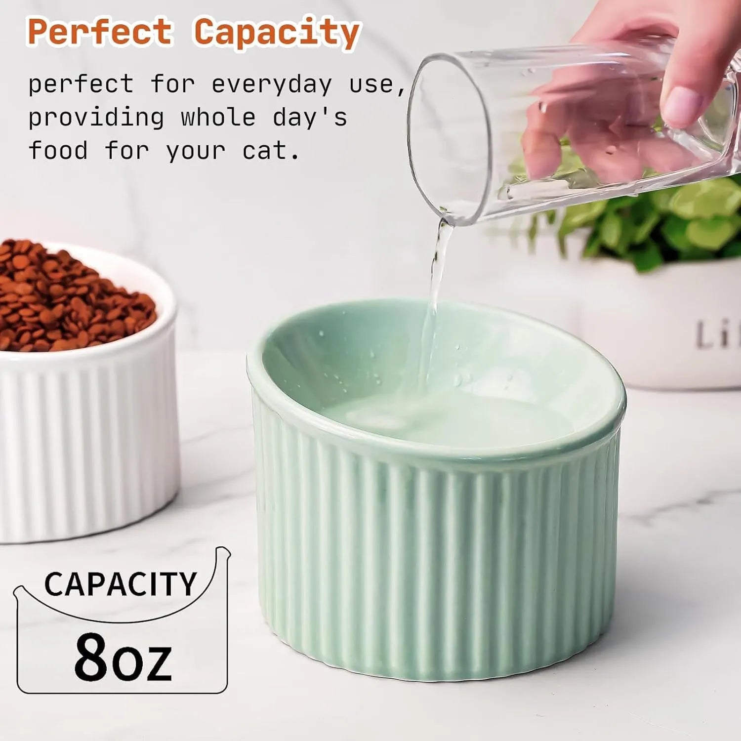 Elevated ceramic cat bowl in light green colour with tilted round design for comfortable feeding