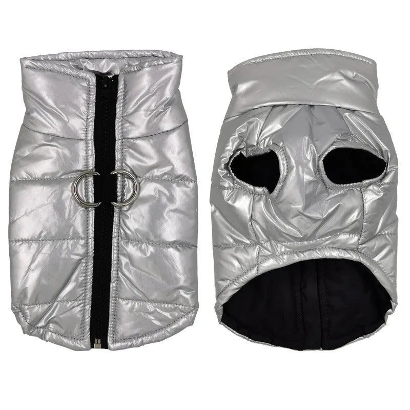Bright blue cotton waterproof dog vest with snap fasteners, front view, for medium-sized dogs