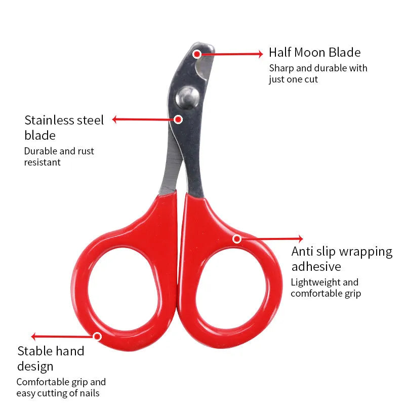 Professional pet nail clippers with stainless steel blade and coloured anti-slip handle.