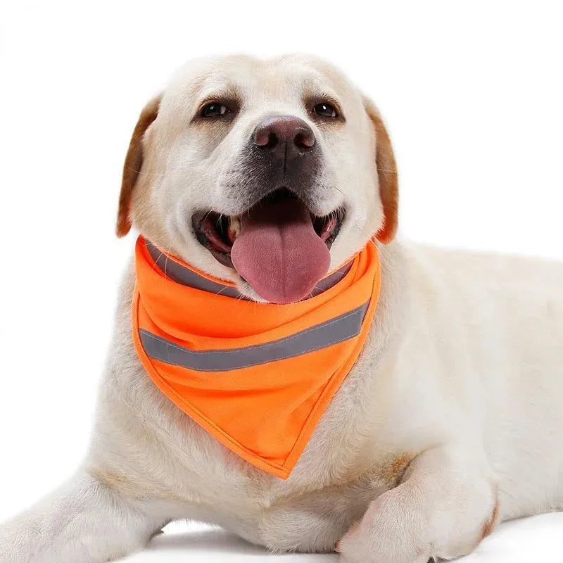 Bright orange polyester dog bandana with adhesive strap shown on canine neck