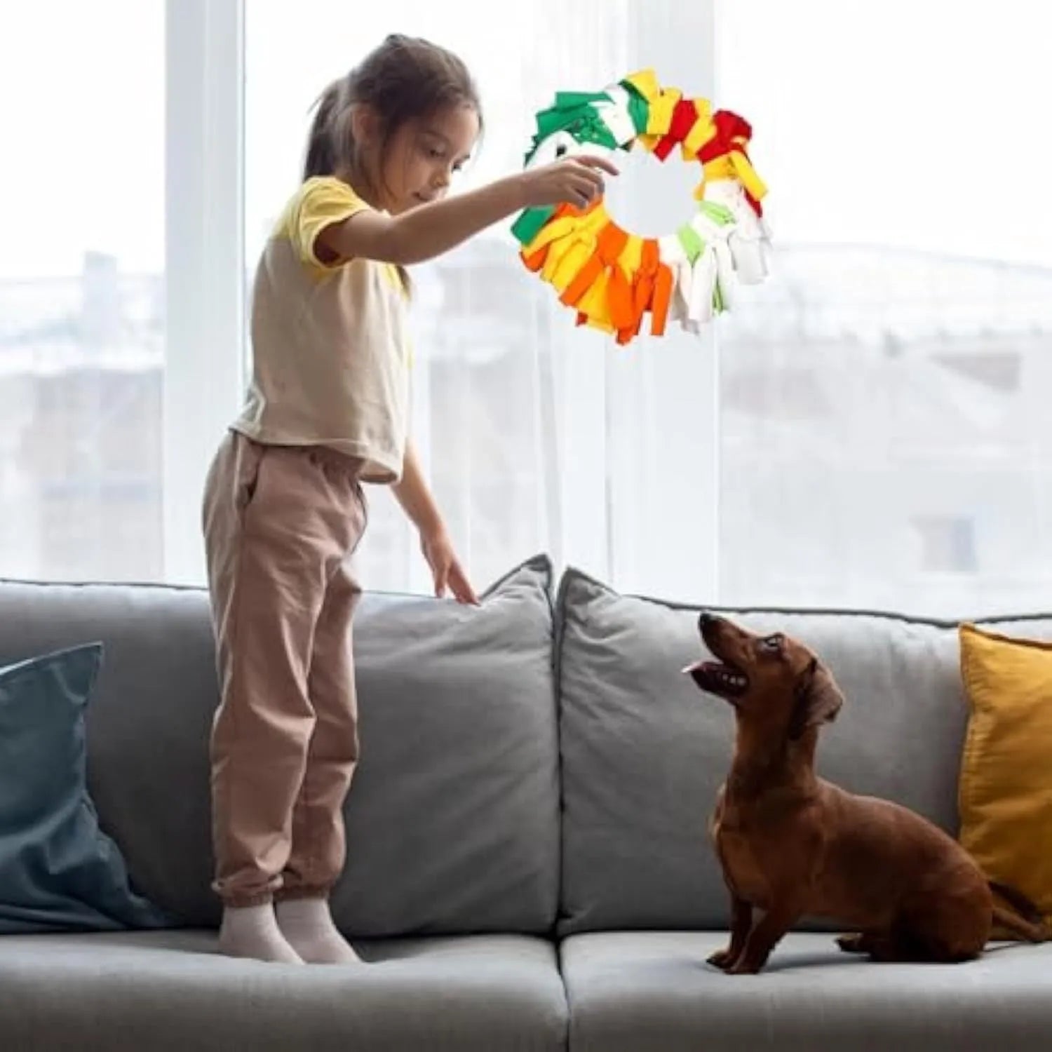 Rainbow polar fleece interactive sniffle dog flying disc with 40cm outer diameter and 16cm inner opening