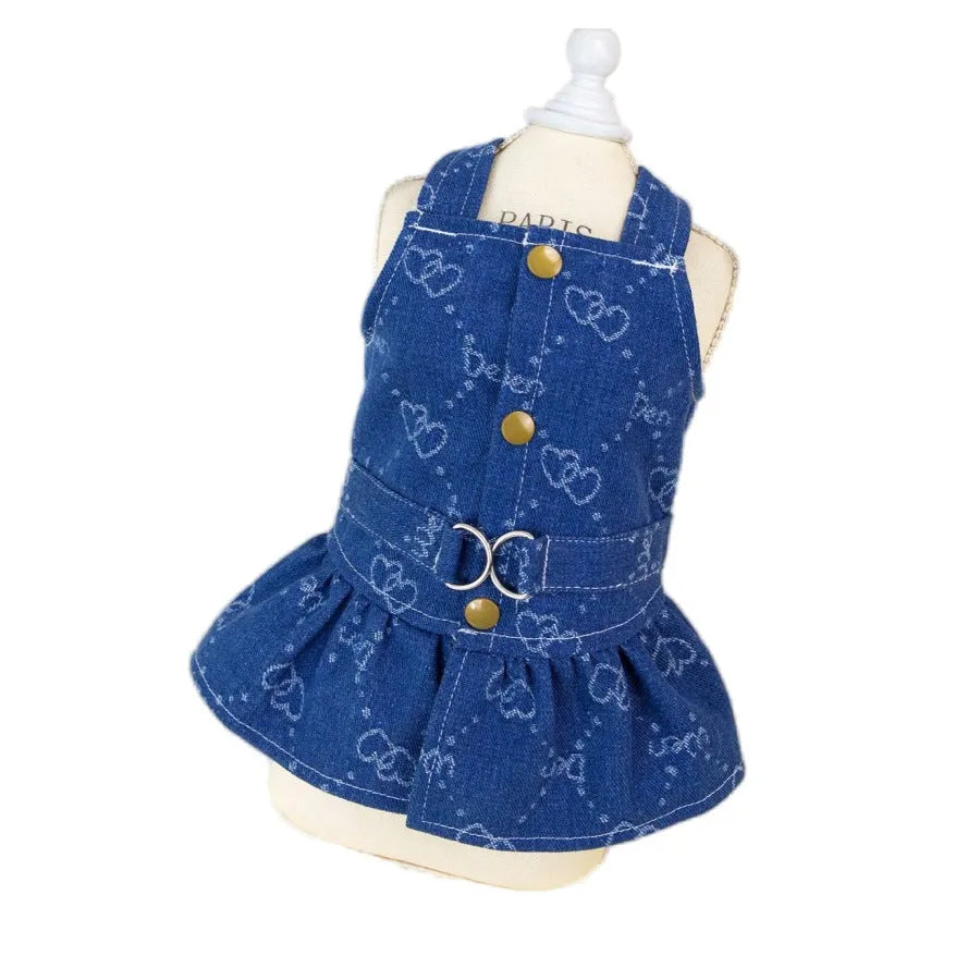 Bichon Frise dog wearing a light blue denim princess dress with a bracket skirt.