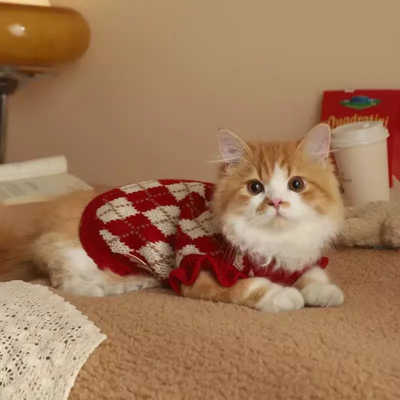 Red cat sweater with diamond embroidery cherry pattern shown in various sizes