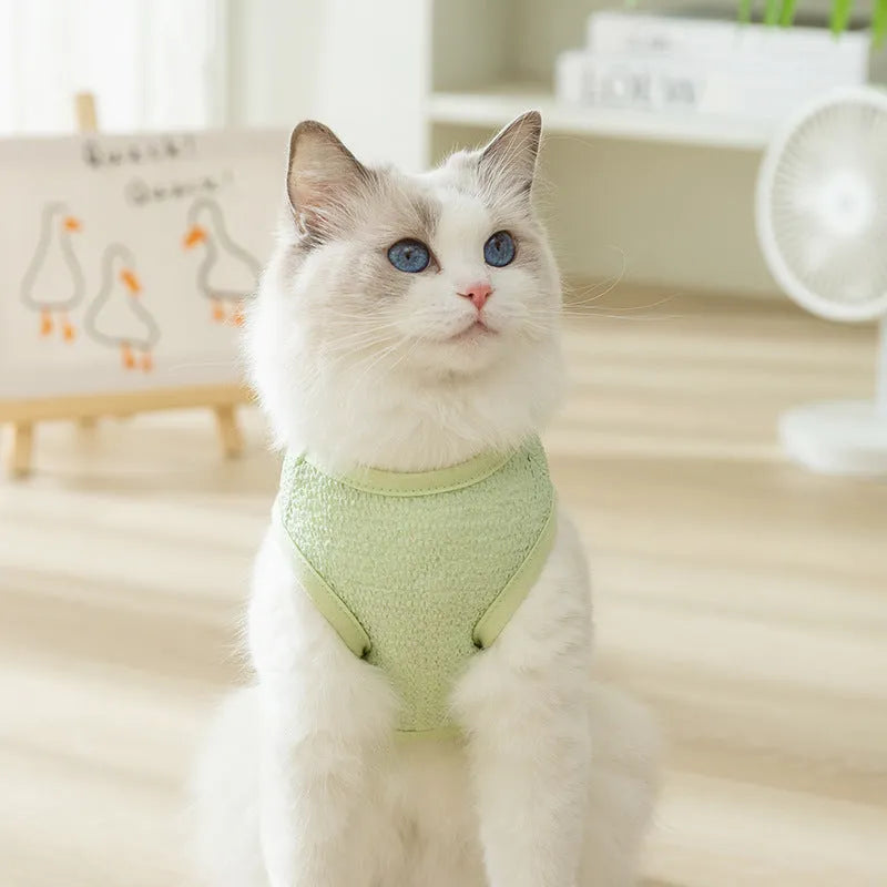 Cat wearing bear patch knitted clothing with hollowed-out breathable design in blue colour