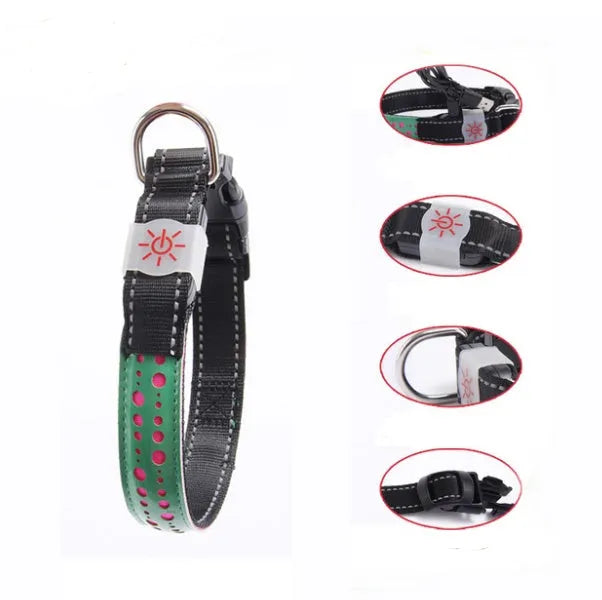 LED light pet collar USB rechargeable adjustable 40-60cm length 2.5cm width for dogs cats
