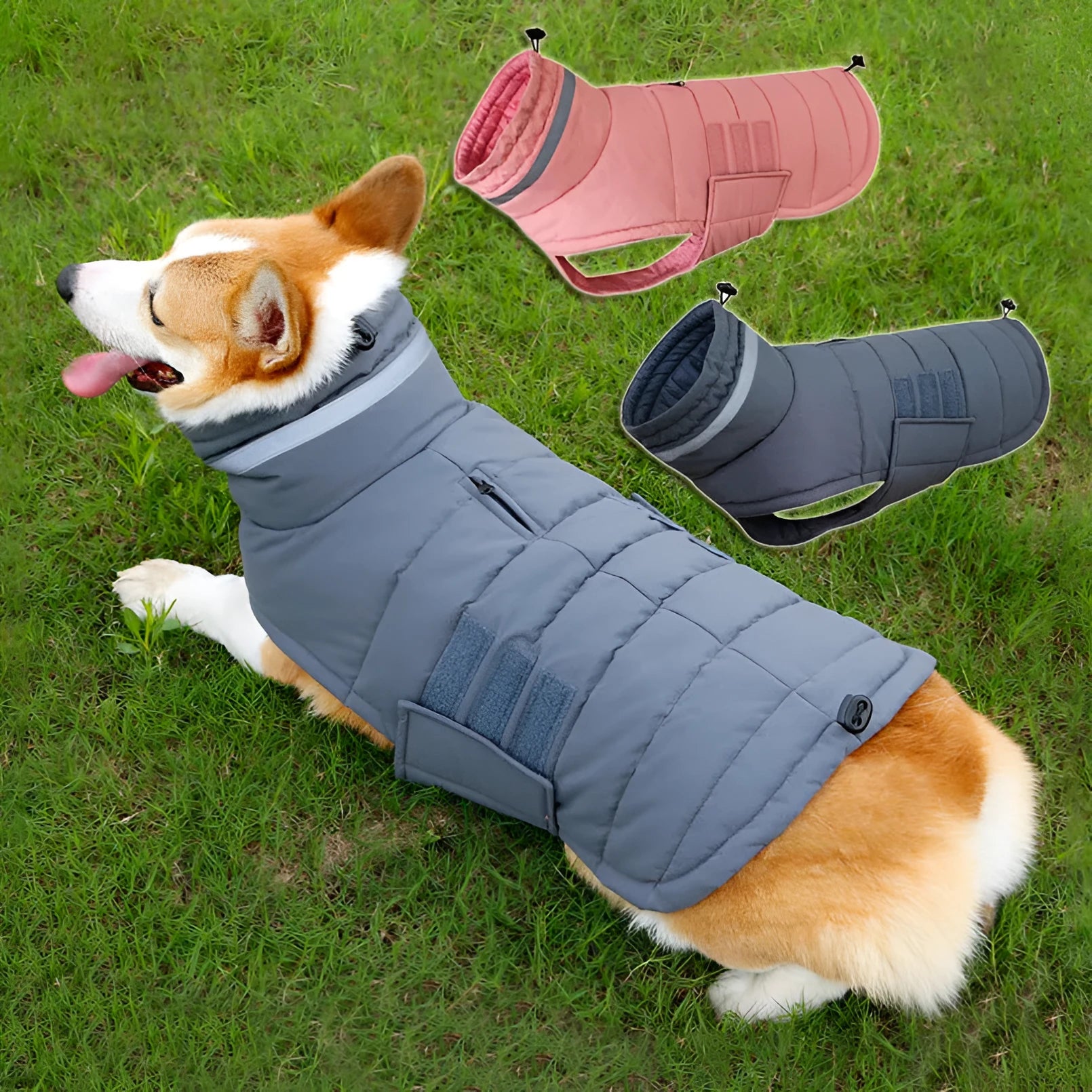 Grey winter dog coat with thickened filling and waterproof nylon outer for medium large dogs