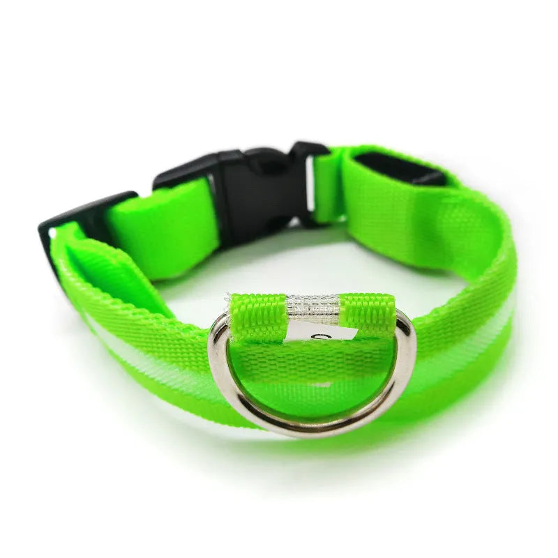 Anti-lost luminous dog collar nylon webbing with battery option in blue colour on white background