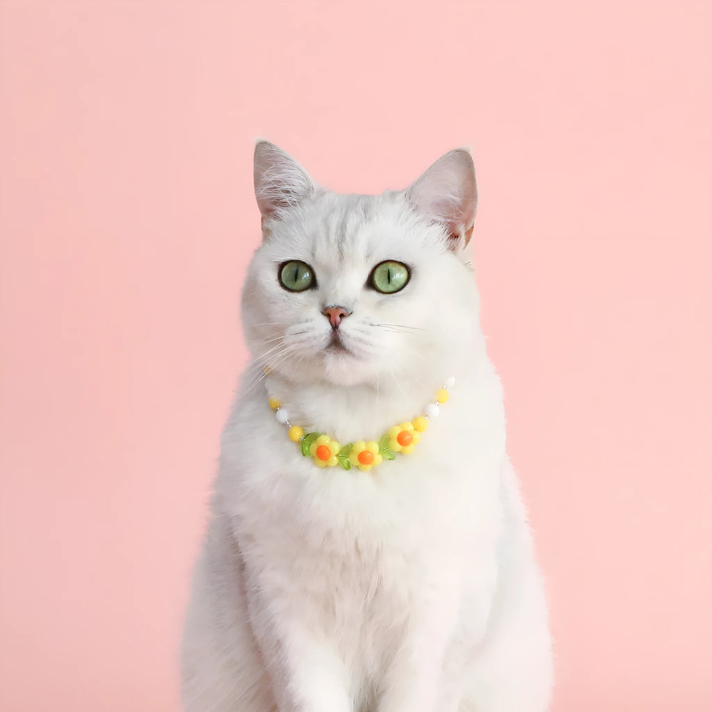 Colourful pearl bead pet necklace in small flower, rainbow, or peach designs with adjustable sizing for cats and small dogs.