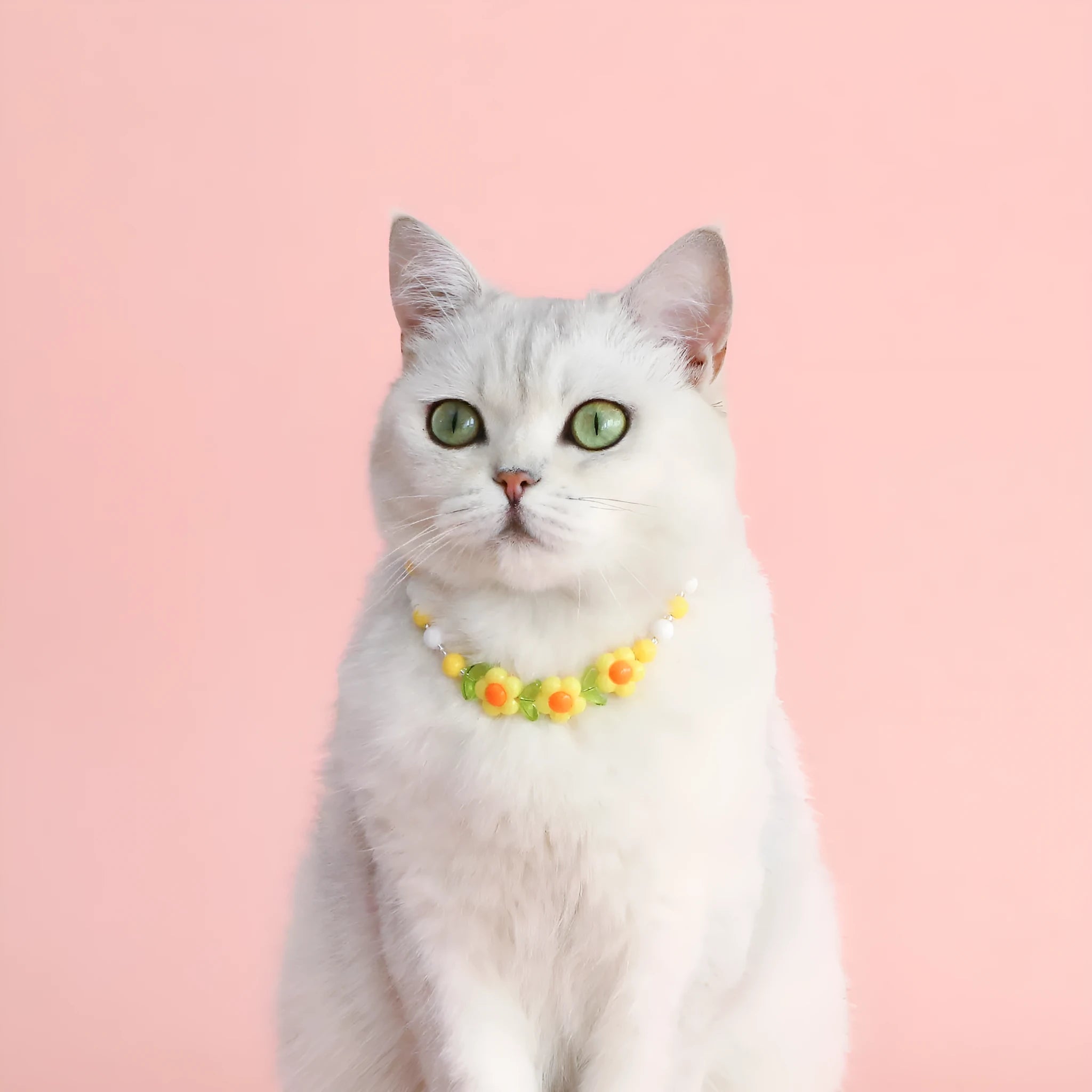 Colourful pearl bead pet necklace in small flower, rainbow, or peach designs with adjustable sizing for cats and small dogs.