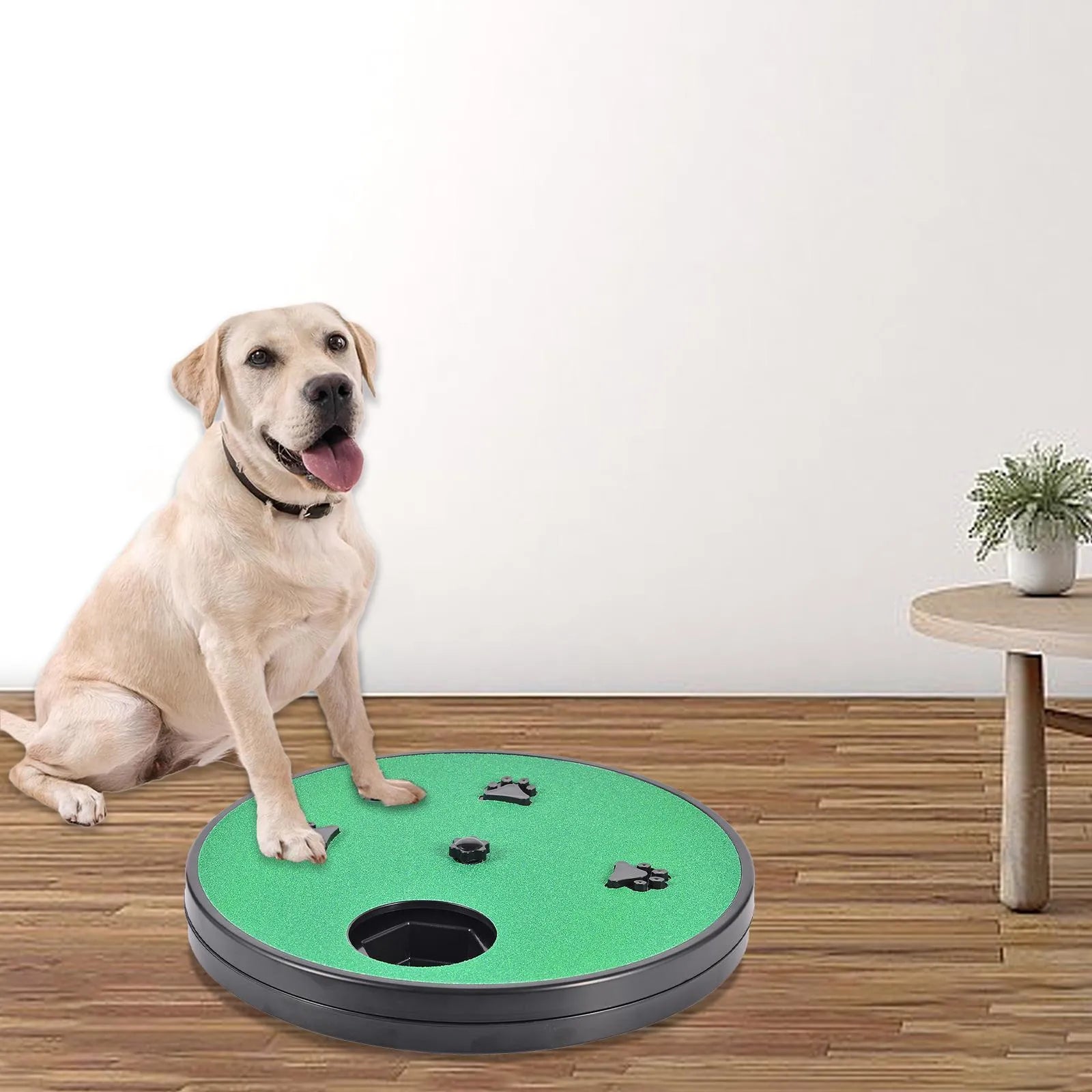 Square dog nail file board with rotating top cover and suction cup base in blue colour