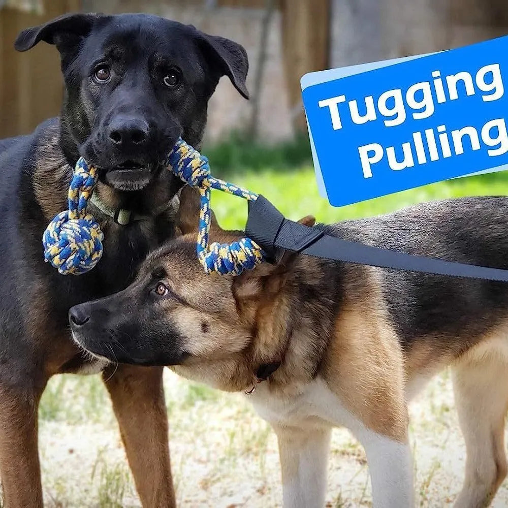Green cotton rope dog tug toy with corncob and teether ball designs for interactive play.