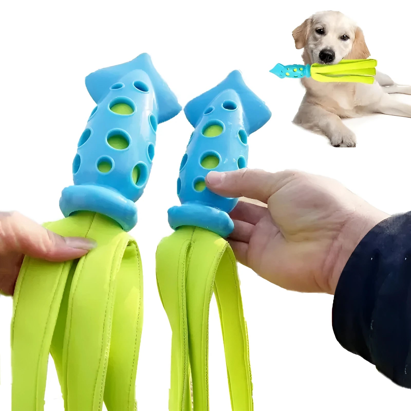 Blue cuttlefish-shaped dog chew toy with squeaky sound device for interactive play