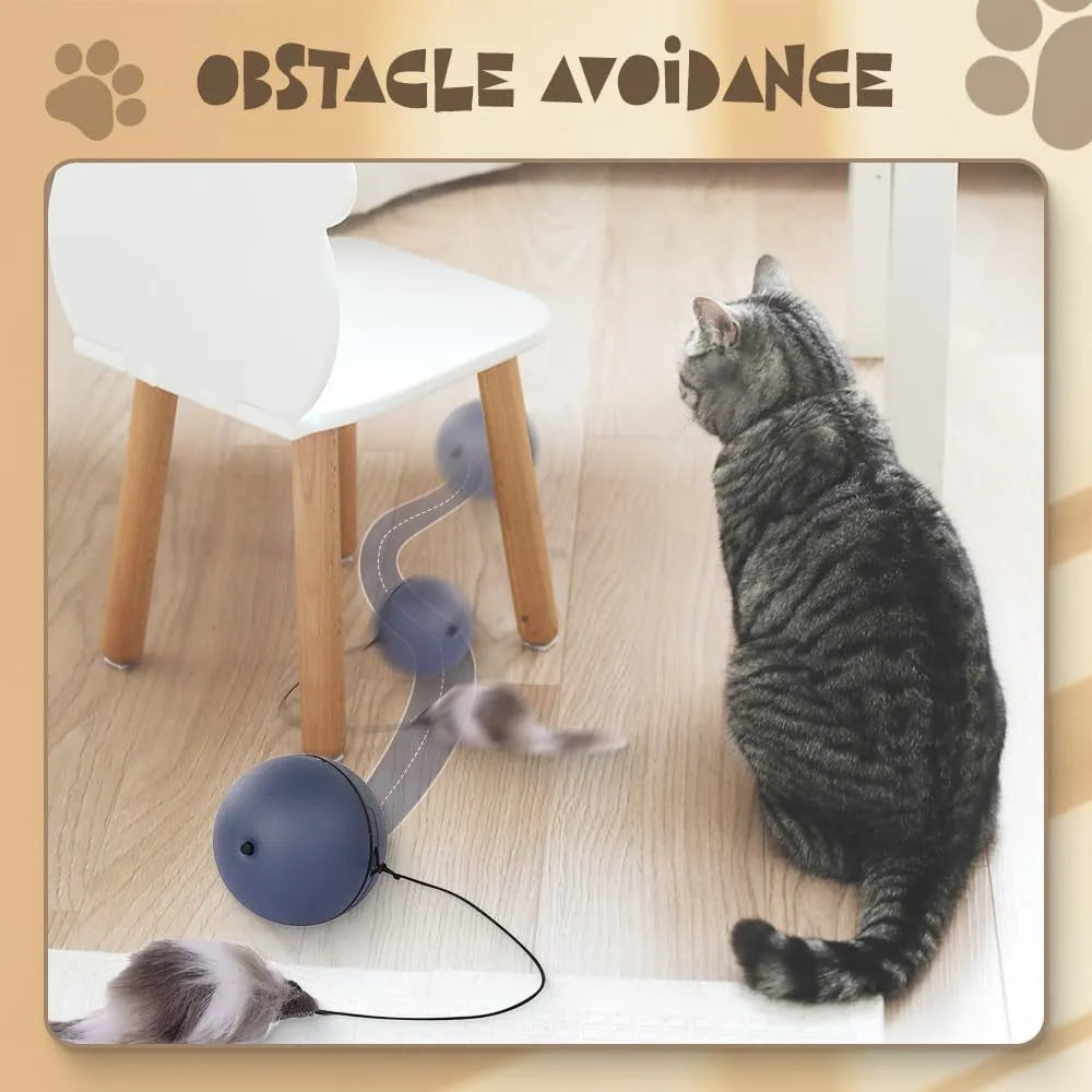 Automatic motion-activated rolling cat ball toy with blue and orange colour options