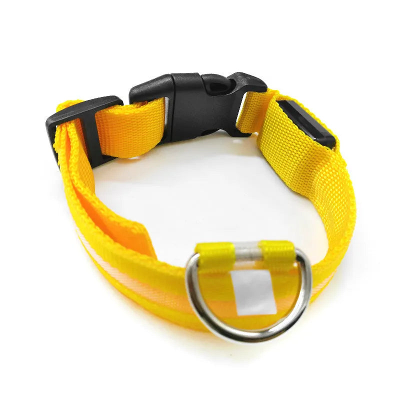 Anti-lost luminous dog collar nylon webbing with battery option in blue colour on white background