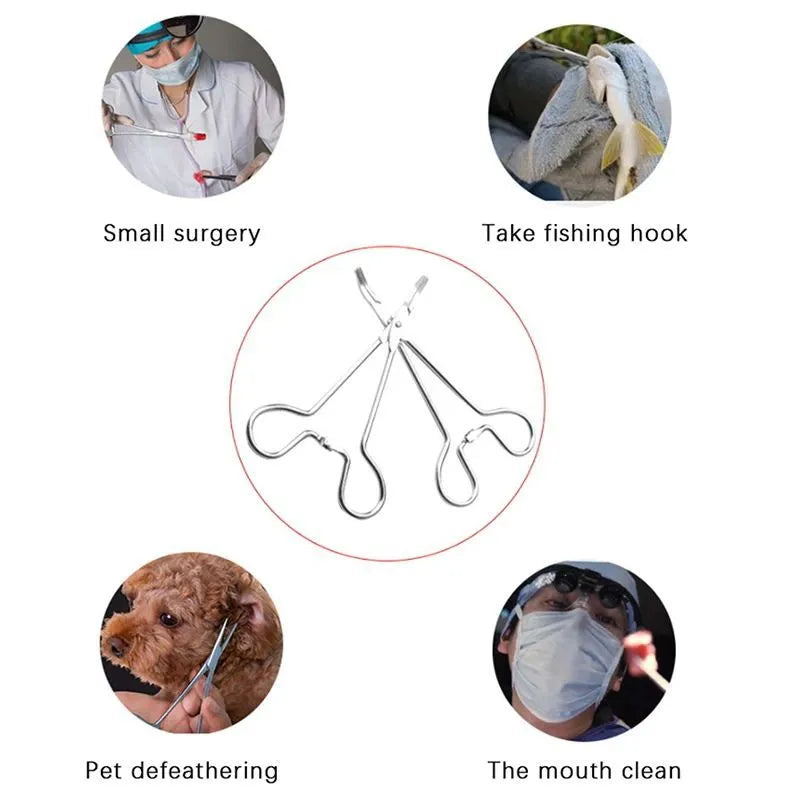 Silver stainless steel pet grooming tweezers with curved tip for ear hair removal