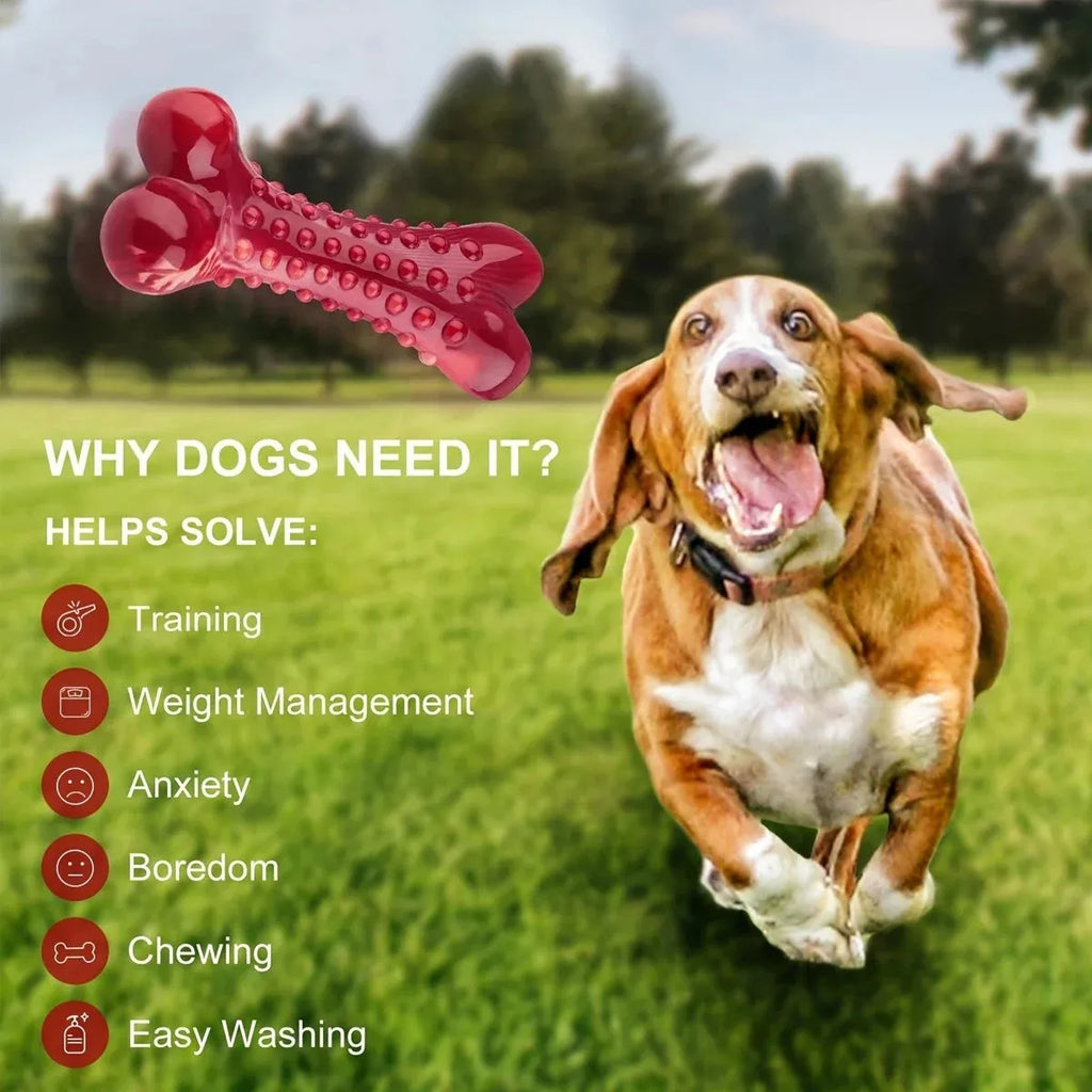 Natural rubber chew toy for aggressive dog chewing and heavy-duty use