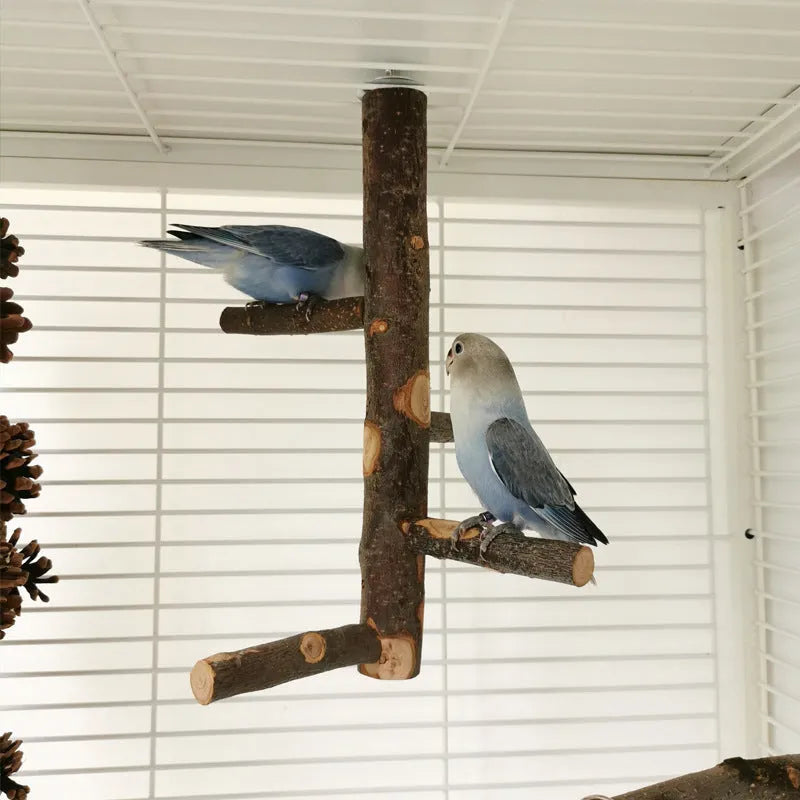 Apple wood parrot stand toy with bite string and natural colour perches