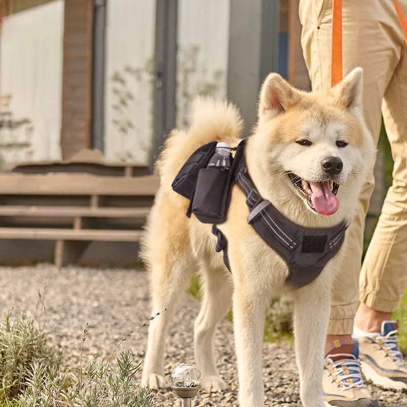 Nylon black dog chest strap harness with adjustable straps for walking, minimalist design