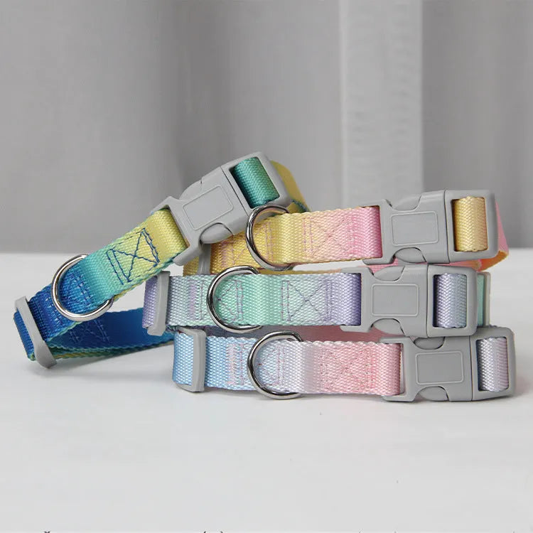 Nylon dog leash set showing gradient colour options including pink blue yellow purple green patterns
