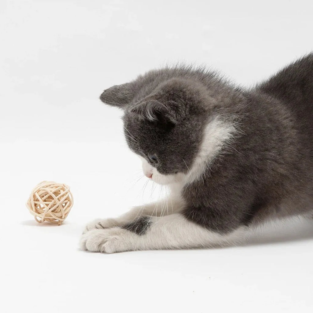 Two cat toys: a brown woven rattan ball and a multicoloured faux feather ball with a bell on a white background.