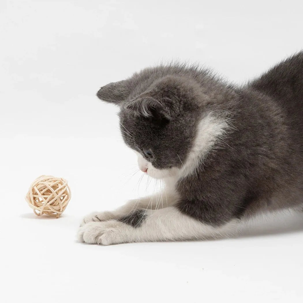 Two cat toys: a brown woven rattan ball and a multicoloured faux feather ball with a bell on a white background.