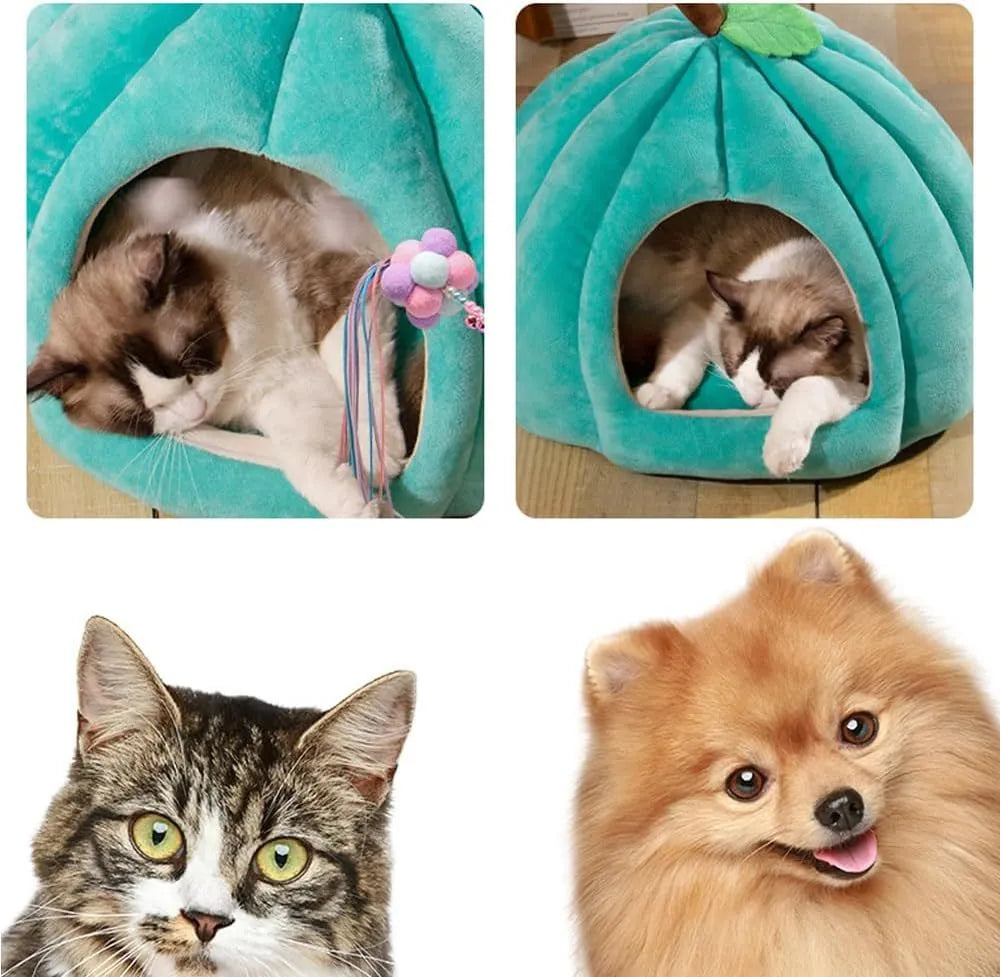 Pumpkin-shaped plush cat bed cave in blue, grey, or yellow with a removable interior mat.