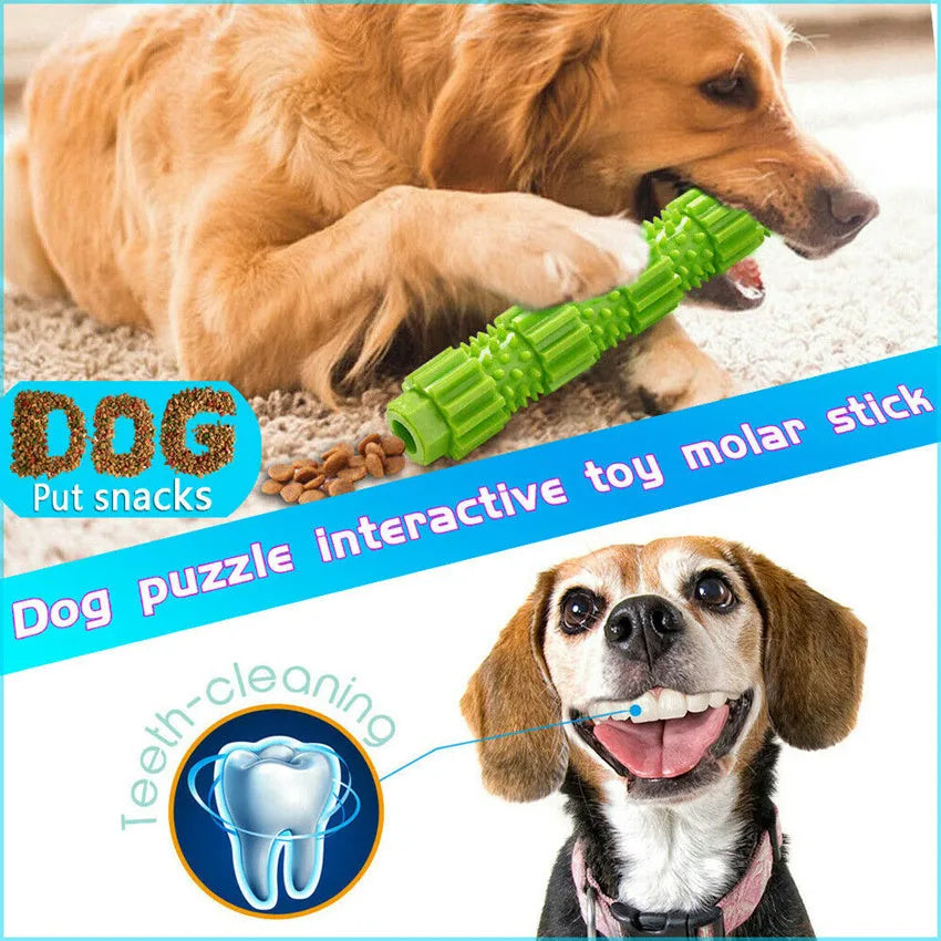 Green and orange rubber dog chew toy with treat dispensing design and textured surface