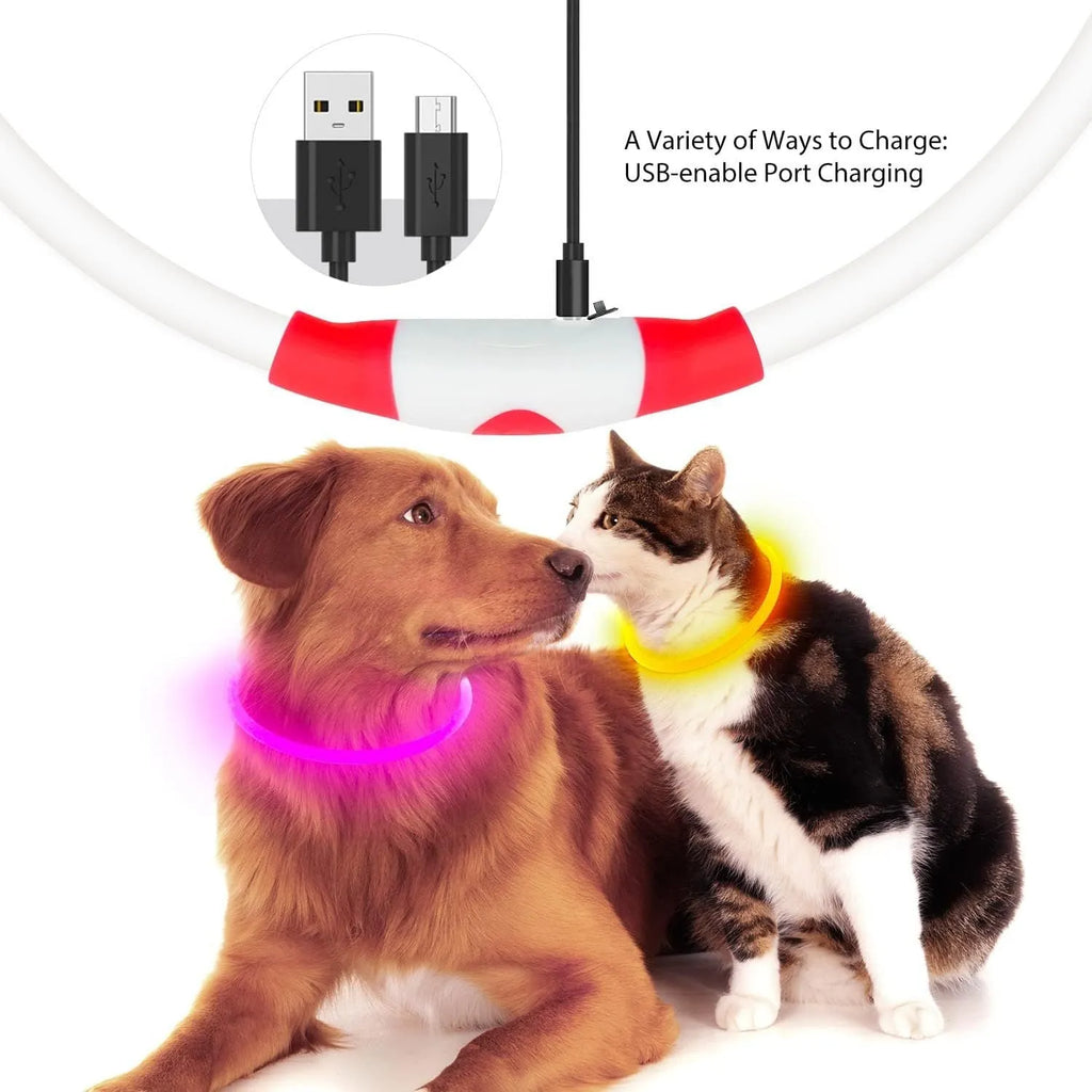 USB rechargeable LED dog collar showing blue illuminated light and adjustable 70cm TPU strap