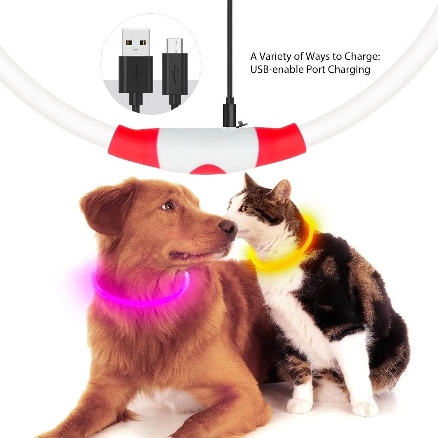 USB rechargeable LED dog collar showing blue illuminated light and adjustable 70cm TPU strap