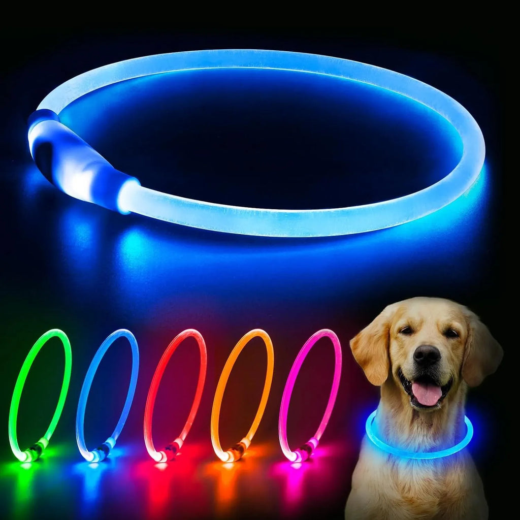 USB rechargeable LED dog collar showing blue illuminated light and adjustable 70cm TPU strap