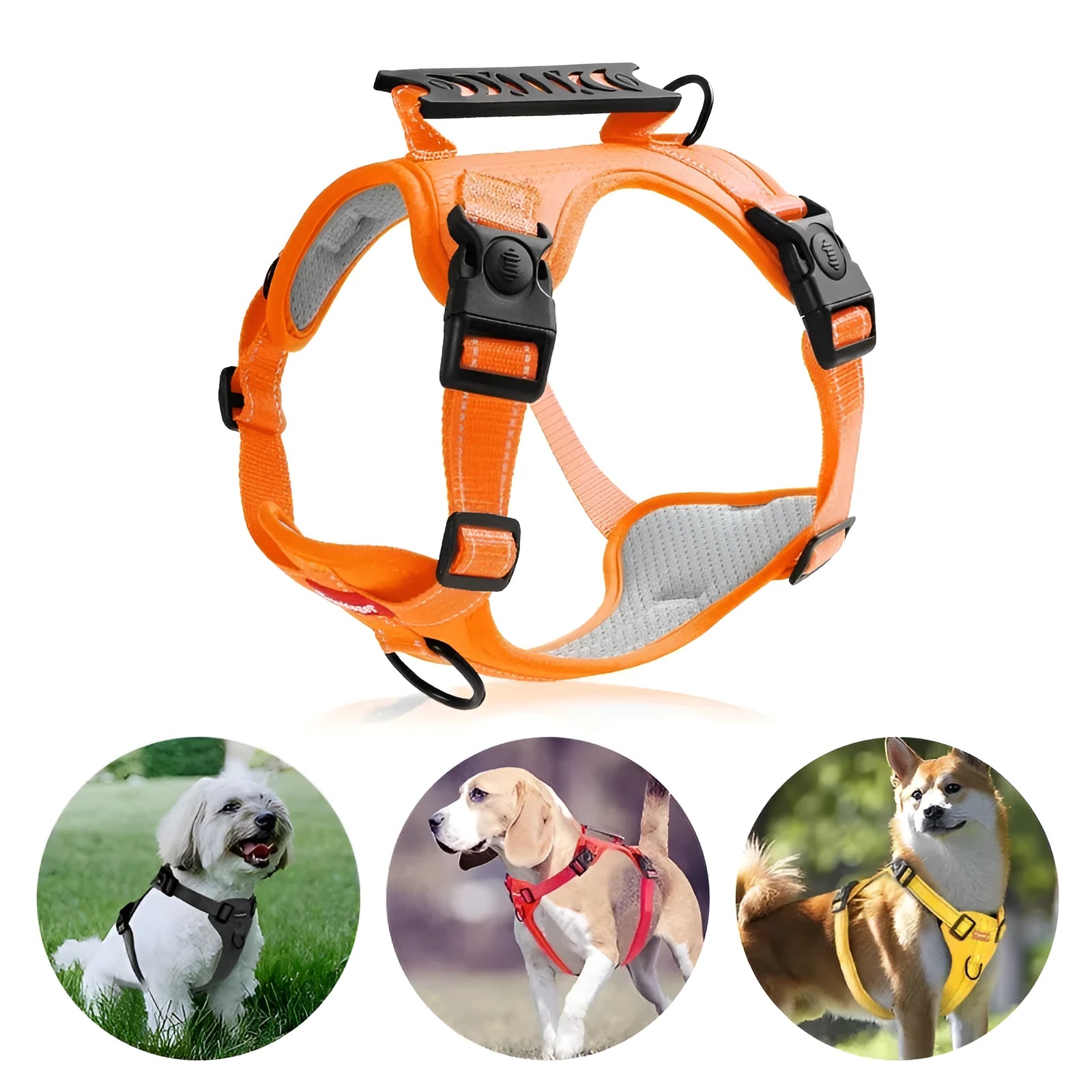Polyester dog chest harness and lead set in various colours including red, blue, and yellow.