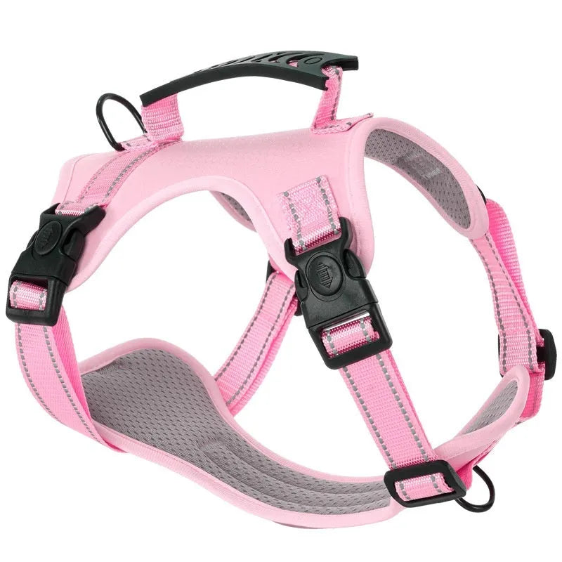 Polyester dog chest harness and lead set in various colours including red, blue, and yellow.