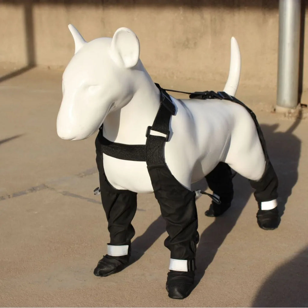 Black dog shoes with adjustable strap closure showing waterproof non-slip sole design