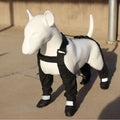 Black dog shoes with adjustable strap closure showing waterproof non-slip sole design