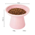 Blue ceramic elevated cat bowl with wide shallow design for comfortable feeding
